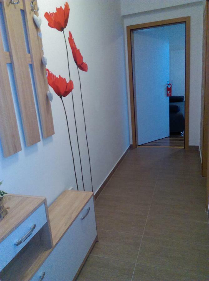 Studio Apartman Zdral Apartment Daruvar Exterior photo